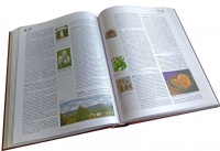 Encyclopedia book.jpg